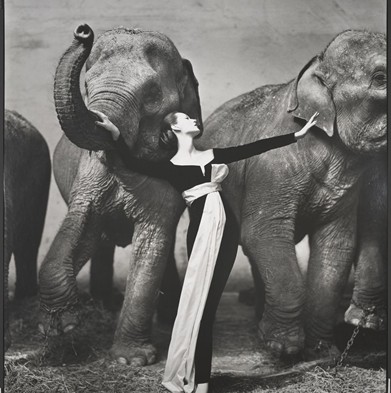 Richard Avedon