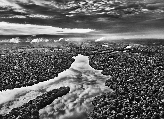 Sebasti&atilde;o&nbsp; Salgado